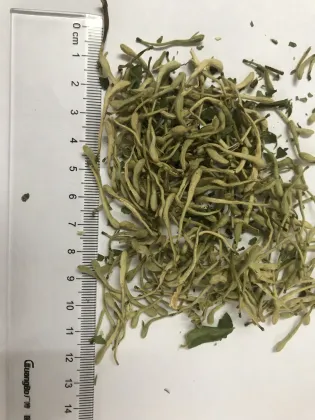 High Quality Dried Wild Blooming Honeysuckle Flower Tea Lonicera Japonica Herbal Tea