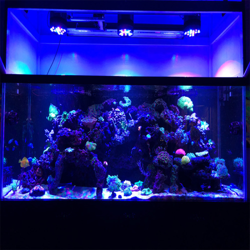 Phlizon Aquarium Light Reef LED Słodkowodna Słodkowa S80