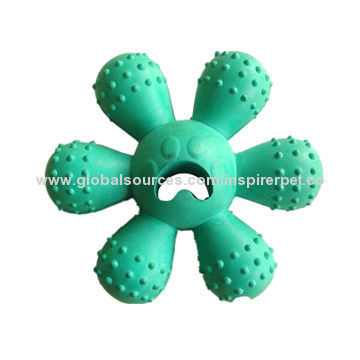 Rubber Chew Crazy Fun Flower Play Toy