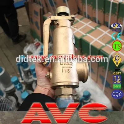 Didtek Bronze ANSI Safety Valve