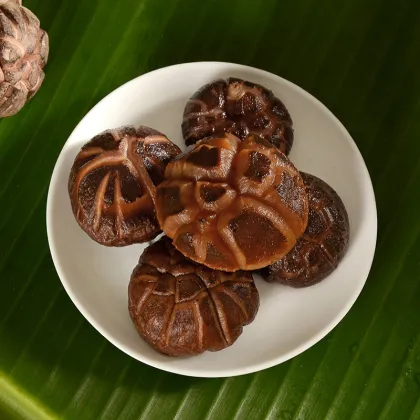 Black Edibble fungus flower mushroom