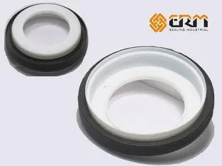 O Ring PTFE Oil Seal Filled Moly Glass Fibre / Shaft Oil Se