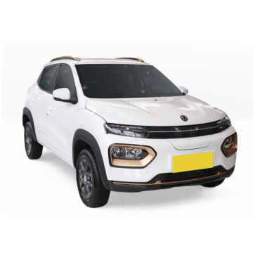 2024 Dongfeng Electric SUV: opções de bateria e motor familiares na China