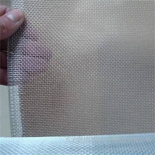 Electro Galvanized Wire Window Screen