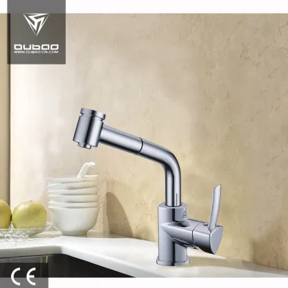 Kitchen Sink Mixer Faucet with Pull-Out Shower