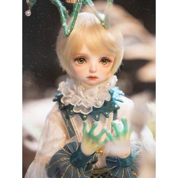 BJD Ray 43cm Garçon Poupée articulée