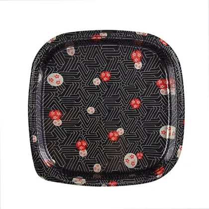 Recyclable Plastic Sushi Tray Sushi Box