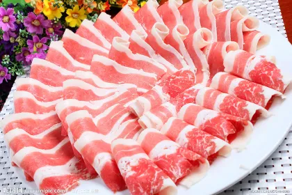 Automatic Horizontal Berkel Style Hand Operated Meat Slicer for Desktop