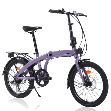 Zukka 20 '' Bicycle pieghevole con telaio in acciaio e freni a disco - Bike pieghevole a 7 velocità per gli studenti