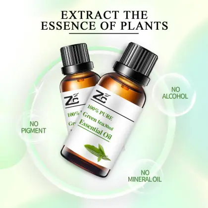 100% Pure  green tea essential Oil,green tea seed Oil,green tea essential oilgreen tea oil