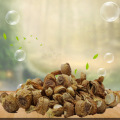 Detan Freeze Dried Tricholoma Matsutake Mushroom Packaginig
