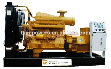 top sale! 3 phase 300kw Shangchai generator made in china for sale
