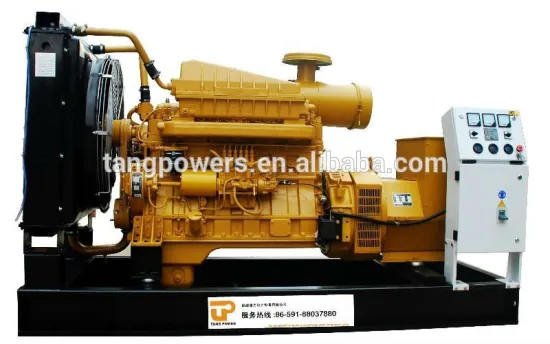 top sale! 3 phase 300kw Shangchai generator made in china for sale