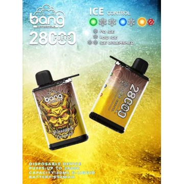 बैंग vape 28000puffs थोक मूल्य