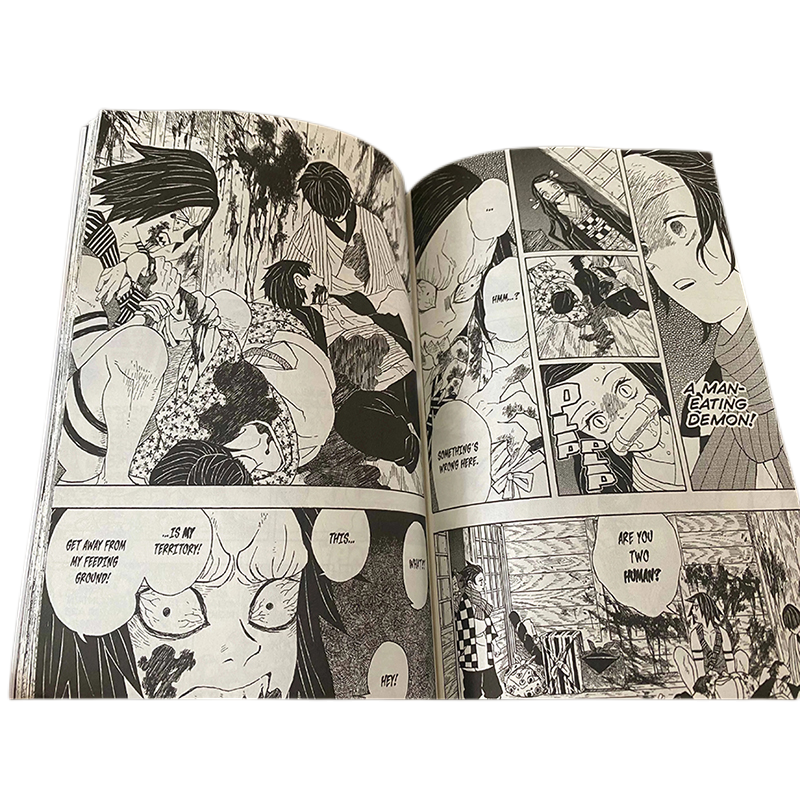 Softcover Anime Book Manga Comic Children Reading Books