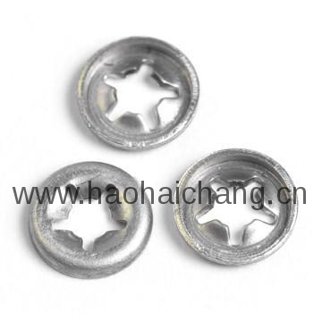Customized Spring Washer