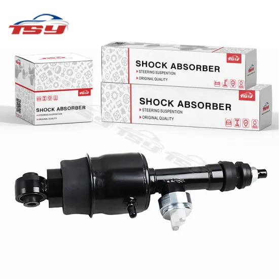 Wholesale High-Quality OE E62101LA7A Shock Absorber for Infiniti QX56 QX80