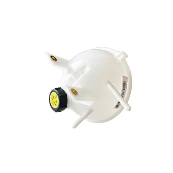 Big Savings on High-Quality Diesel Engine Spare Parts: Radiator Reservoir, Expansion Tank 1311010R002 for Light Trucks