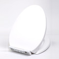 New Type Electronic Self-cleaning WC Toilet Seat