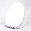 Luxury Smart Flushable Toilet Seat Cover