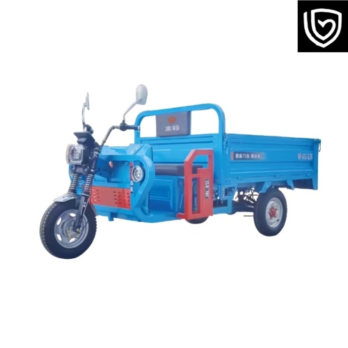 3330×1380×1430mm Electric Tricycle for Sale