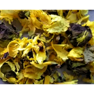 Premium Abelmoschus Manihot Extract for Natural Skin Care Solutions