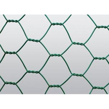 Chicken Wire Mesh Hexaganol Fence Ottimo prezzo