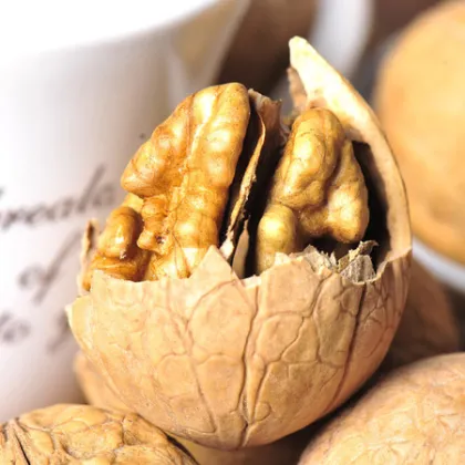 walnut unshelled walnut in shell for sale