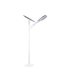 Custom LED Garden/Street Lamp/Lighting/Light
