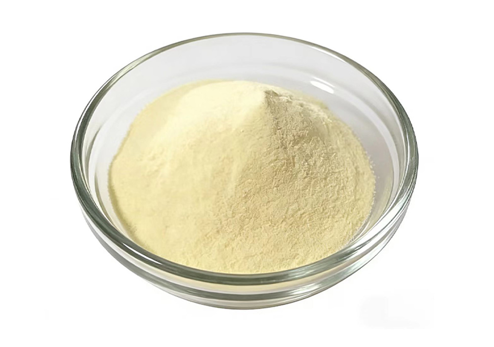 feed additive19-y