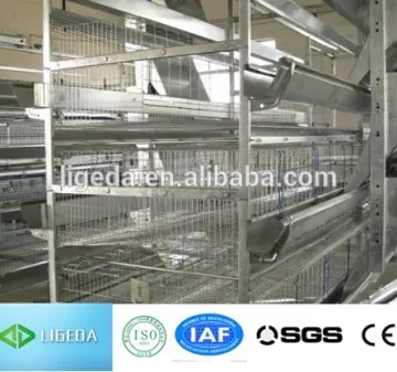 fencing net iron wire mesh