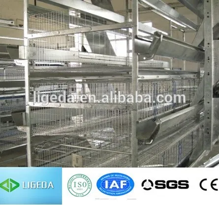chicken iron wire mesh
