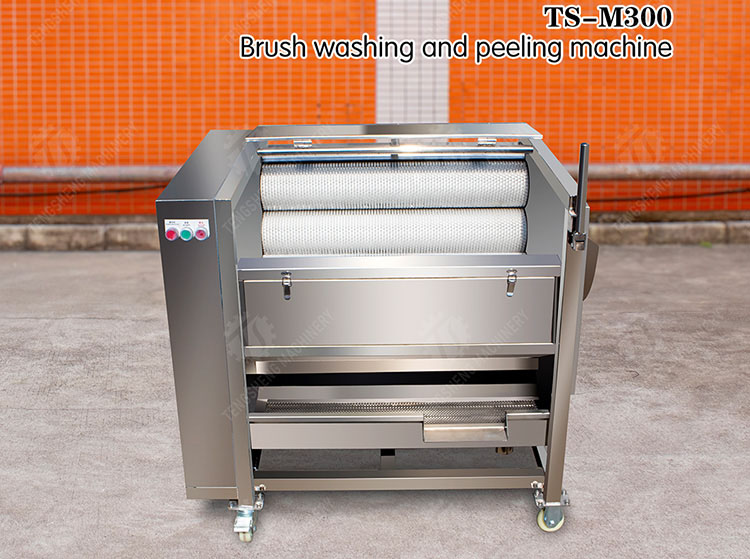 potato washing peeling machine