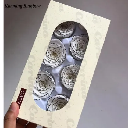 Hot Sale New Preserved White Rose with Black Rim