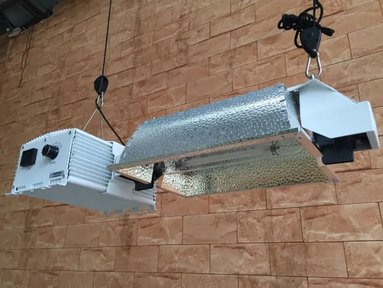 gavita style double end light/with control function