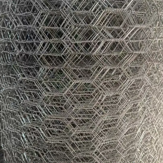 Factory Stainless Steel 304 Hexagon Wire Mesh Netting for Chicken Coop