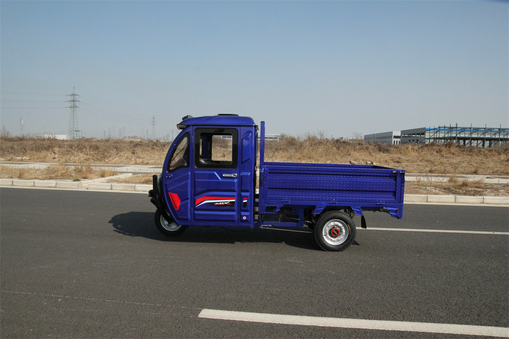 Gold Quality 3 Wheel Cargo Electric Vehicle