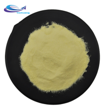 Top quality freeze dried jackfruit powder jackfruit powder