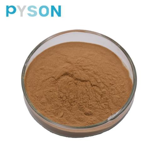 Supply High Quality shiitake powder 50%