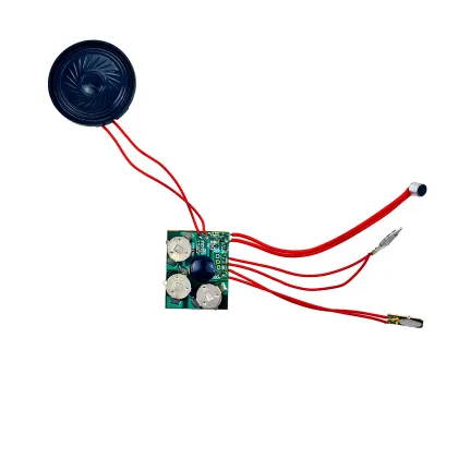 China-Made USB Sound Voice Recording Module