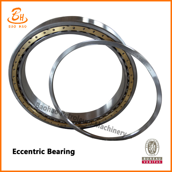 Eccentric Bearing