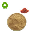 Honegsukle Flower Extract Chlorogénic Acid Powder 5%