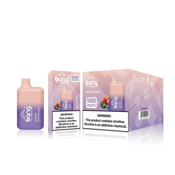 Disposable Vape Hot Selling Bang Box BC 5000PUFFS
