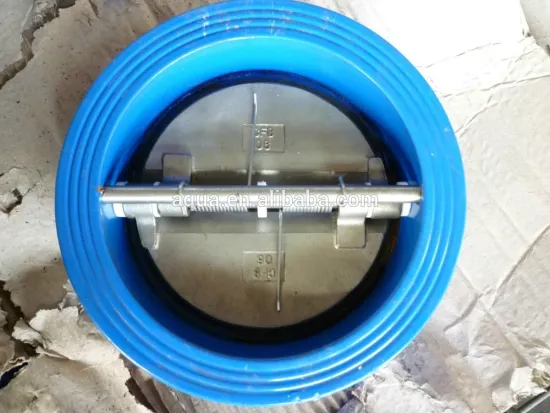 double clapper check valve