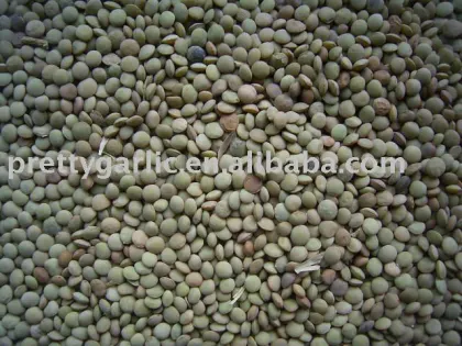 2012 crop chinese green lentils