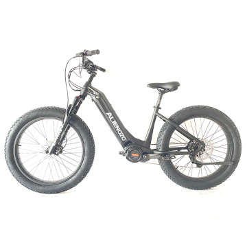 Aluminum Alloy E-Bike with Hydraulic Disc Brake and 48V 20AH Battery