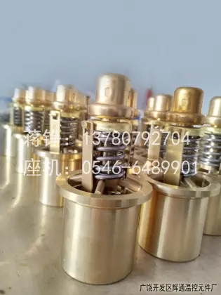 Gardner Denver thermostatic valve