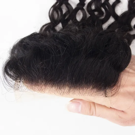 3 Parts Lace Closure Brazilian Virgin Body Wave Hair Bundles with Closure,Brazilian Hair Transparent Swiss Lace Closure