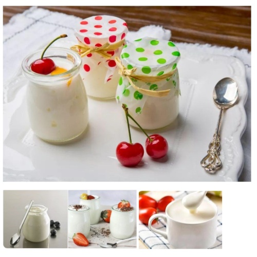 Folding Yogurt maker NEW design