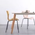 Plastic Phoenix Tail Metal Leg Dining Chair